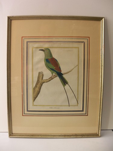 1770 hand tinted engraving - hand,