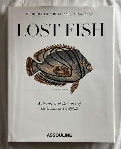 Lost fish anthologies - anthologies, work